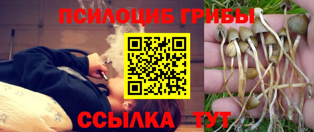 Галлюциногенные грибы Magic Shrooms  Псилоцибиновые грибы GOLDEN TEACHER  Фрязино  Вход с VPN 